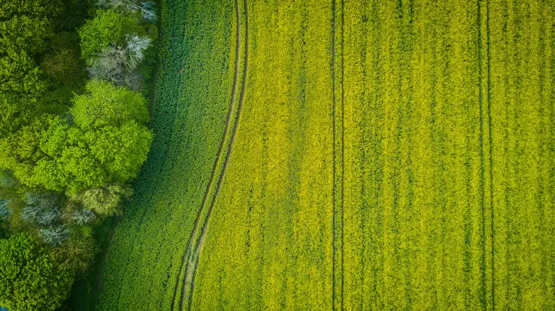 Қарағанды тұрғыны сотта әкімдіктің жер учаскесін беру туралы шешіміне қарсы шықты