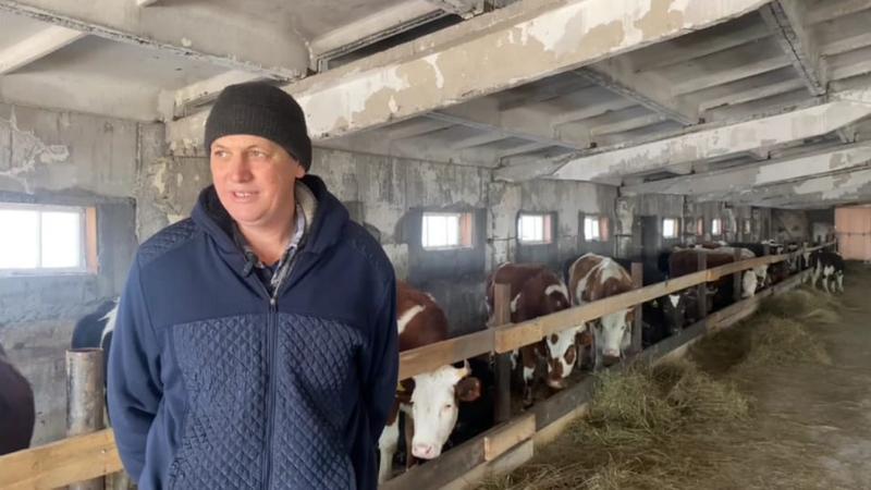 Абай ауданында «Ауыл аманаты» бағдарламасының арқасында жылыжай, наубайхана және инватакси іске қосылды