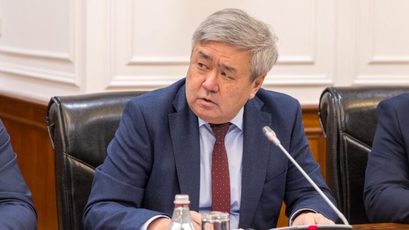 Арнайы салық режимін қолдануға салынатын басы артық шектеулерді алып тастау туралы шешім қабылданды