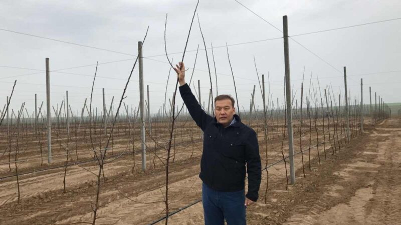 Казахстан движется в правильном направлении – депутат