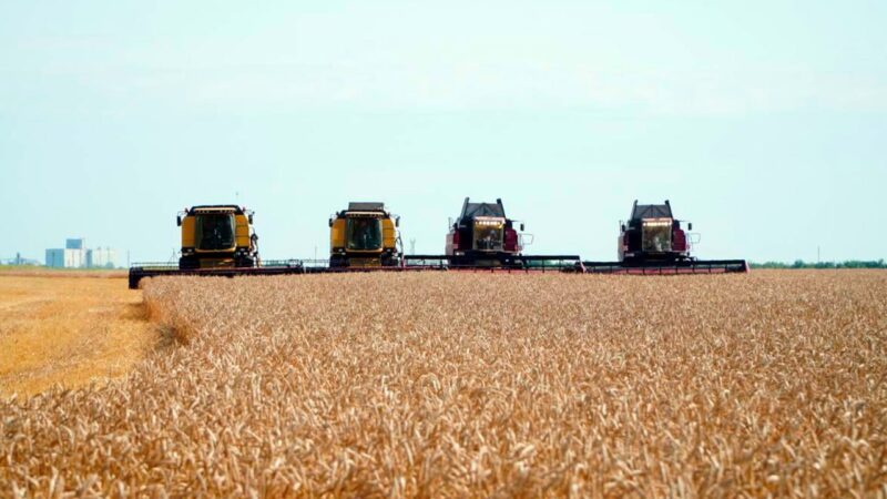 Инфрақұрылымды дамыту: Қазақстанда астық элеваторларын салу және жаңғырту бойынша несие беру бағдарламасы іске қосылады