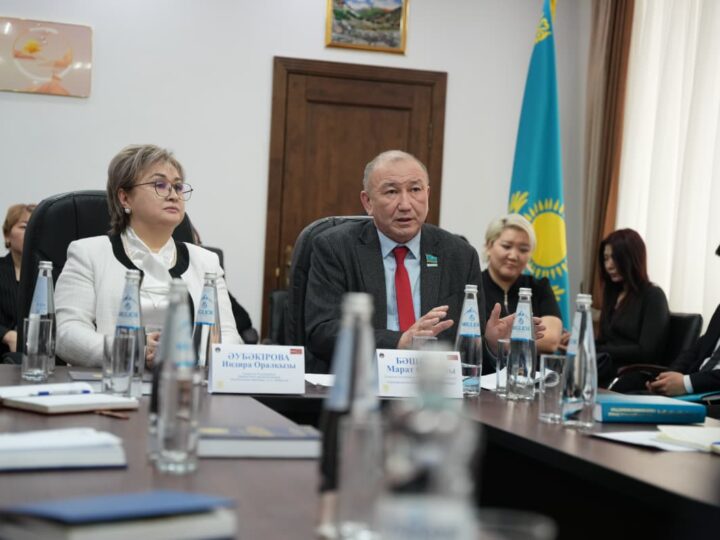 Астанада жаңа Конституция жобасы бойынша   сараптамалық талқылау өтті   