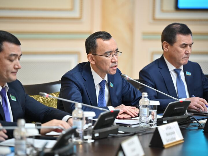 Жаңа Конституция мемлекеттік және саяси құрылымды қалыптастыруға негіз болады