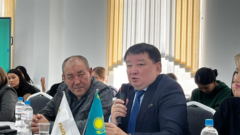 ЖАҢА КОНСТИТУЦИЯ: САРАПШЫЛАР ҚОҒАМДЫҚ ТҰРАҚТЫЛЫҚ ПЕН ДАМУҒА ҚОЛДАУ БІЛДІРДІ