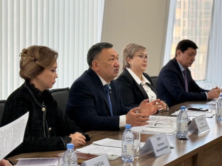 ПАРЛАМЕНТАРИЗМ ИНСТИТУТЫНЫҢ САРАПШЫЛАРЫ ЖАҢА КОНСТИТУЦИЯ ЖОБАСЫНА ҚОЛДАУ БІЛДІРДІ