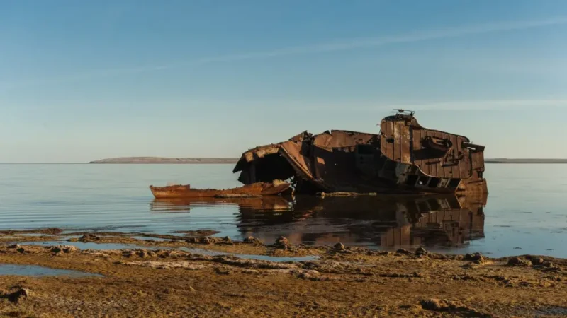 Экологическая солидарность как основа стабильности и единства региона