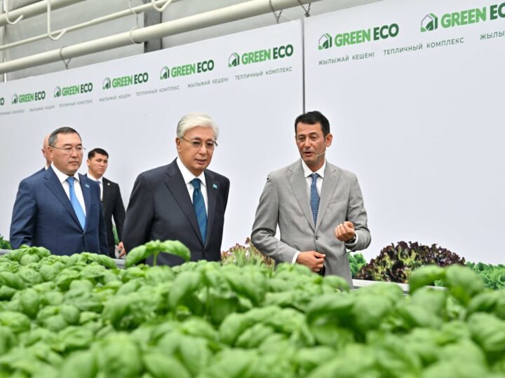Мемлекет басшысы GREEN ЕСО жылыжай кешенімен танысты