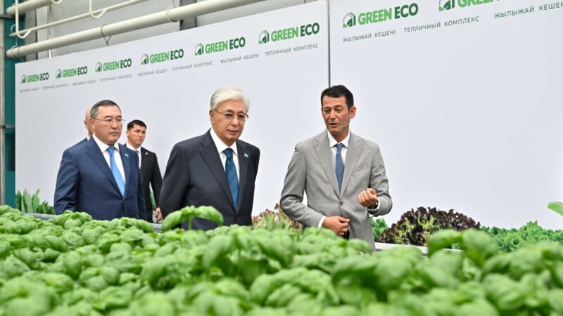Мемлекет басшысы GREEN ЕСО жылыжай кешенімен танысты