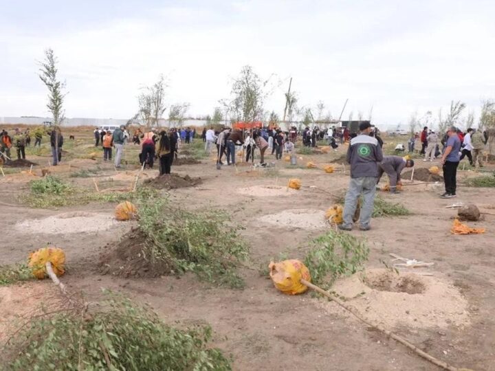 Қарағандының болашақ экопаркіне тағы 500 көшет егілді